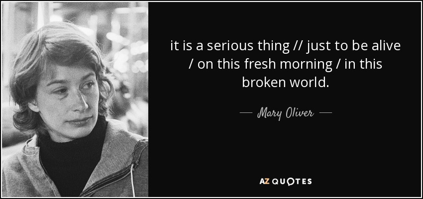 it is a serious thing // just to be alive / on this fresh morning / in this broken world. - Mary Oliver