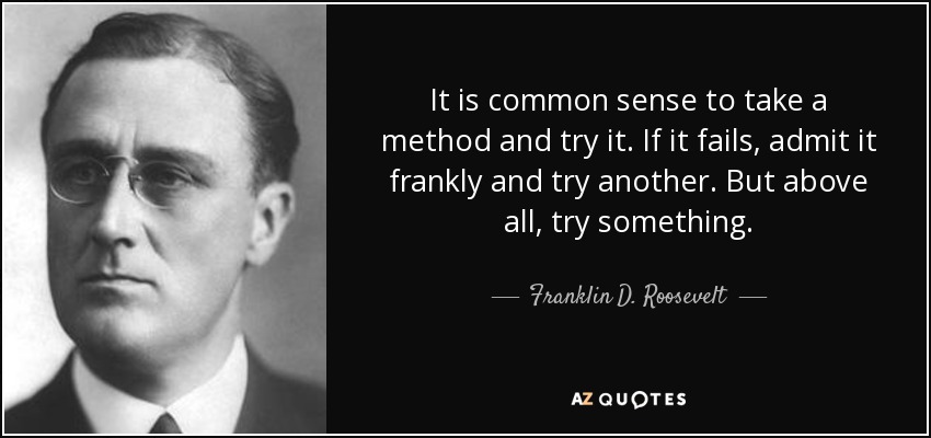It is common sense to take a method and try it. If it fails, admit it frankly and try another. But above all, try something. - Franklin D. Roosevelt