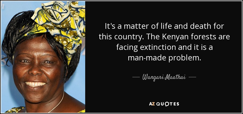 Es una cuestión de vida o muerte para este país. Los bosques keniatas se enfrentan a la extinción y es un problema causado por el hombre. - Wangari Maathai