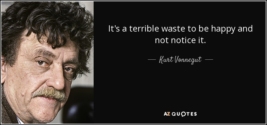 Es un terrible desperdicio ser feliz y no notarlo. - Kurt Vonnegut