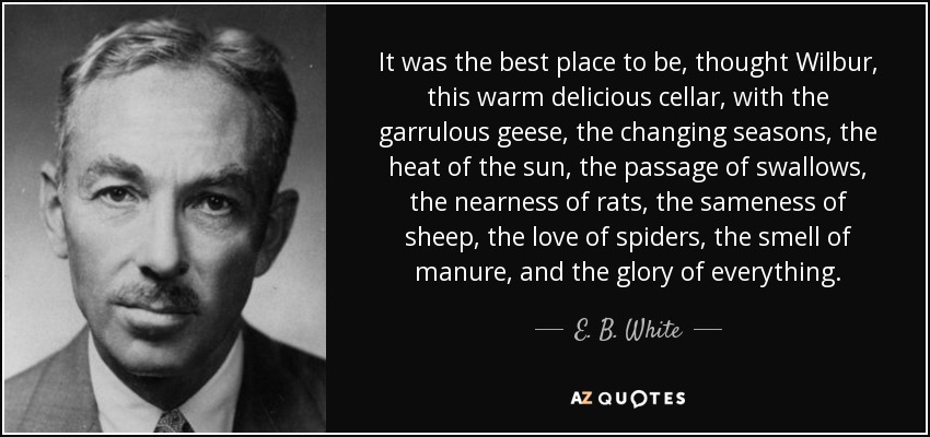 It was the best place to be, thought Wilbur, this warm delicious cellar, with the garrulous geese, the changing seasons, the heat of the sun, the passage of swallows, the nearness of rats, the sameness of sheep, the love of spiders, the smell of manure, and the glory of everything. - E. B. White