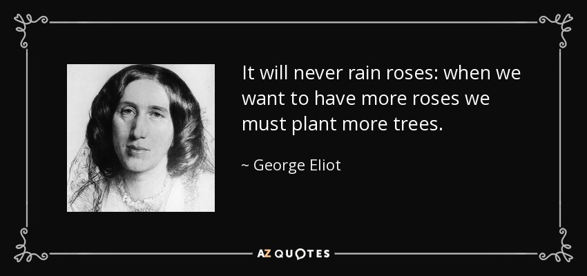 Nunca lloverán rosas: cuando queramos tener más rosas debemos plantar más árboles. - George Eliot