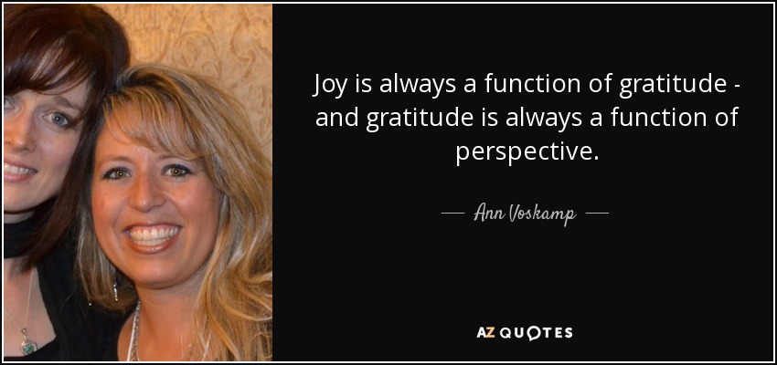 Joy is always a function of gratitude - and gratitude is always a function of perspective. - Ann Voskamp