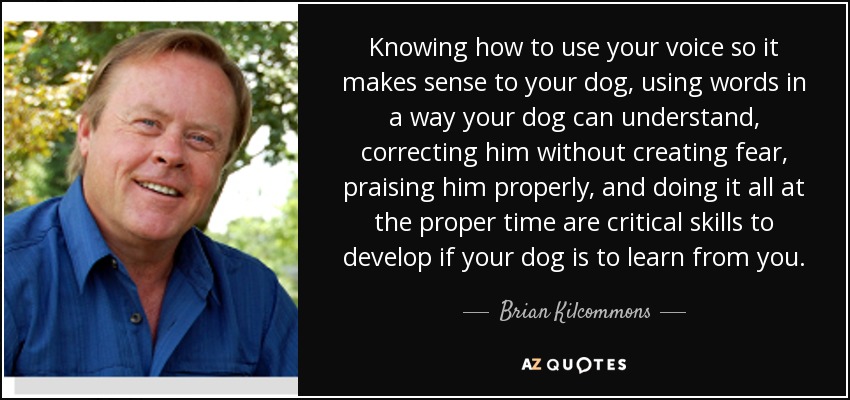 Knowing how to use your voice so it makes sense to your dog, using words in a way your dog can understand, correcting him without creating fear, praising him properly, and doing it all at the proper time are critical skills to develop if your dog is to learn from you. - Brian Kilcommons