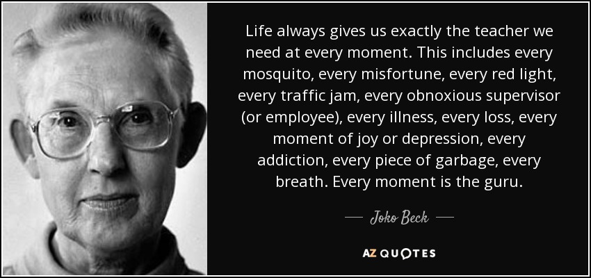Life always gives us exactly the teacher we need at every moment. This includes every mosquito, every misfortune, every red light, every traffic jam, every obnoxious supervisor (or employee), every illness, every loss, every moment of joy or depression, every addiction, every piece of garbage, every breath. Every moment is the guru. - Joko Beck