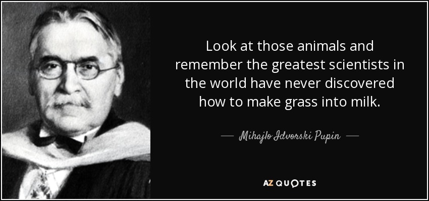 Look at those animals and remember the greatest scientists in the world have never discovered how to make grass into milk. - Mihajlo Idvorski Pupin