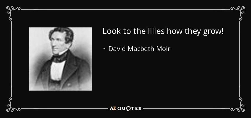 Look to the lilies how they grow! - David Macbeth Moir