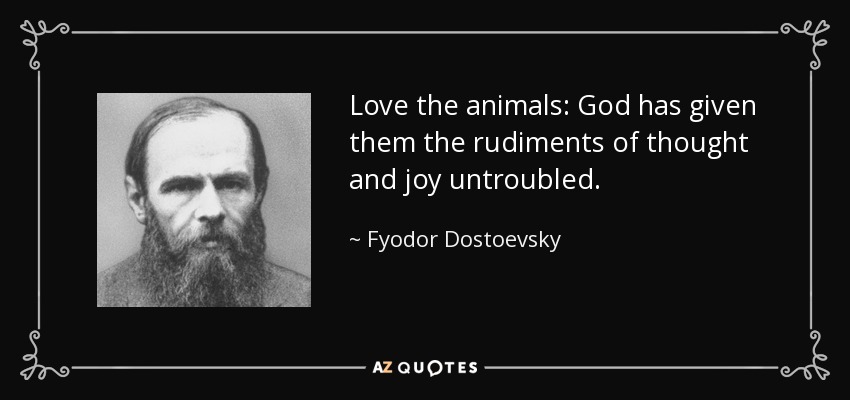 Love the animals: God has given them the rudiments of thought and joy untroubled. - Fyodor Dostoevsky