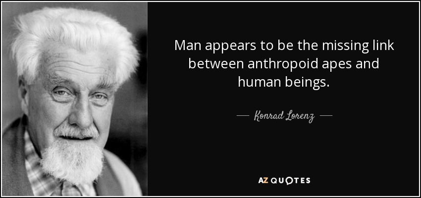 Man appears to be the missing link between anthropoid apes and human beings. - Konrad Lorenz