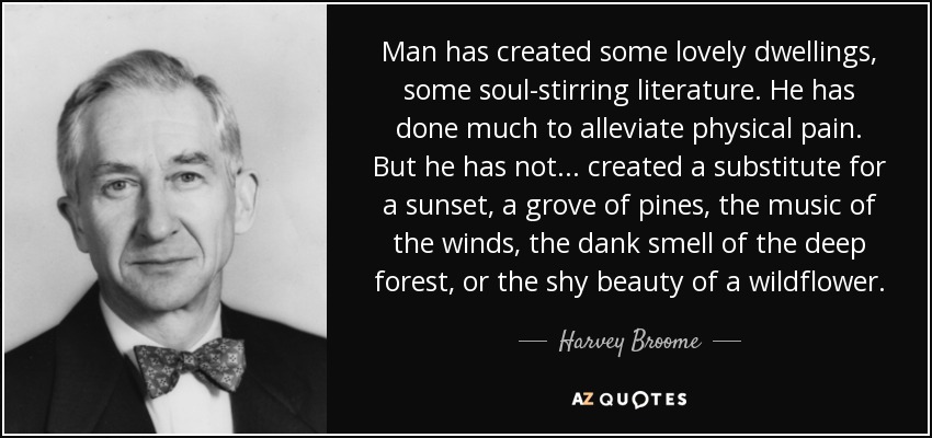 Man has created some lovely dwellings, some soul-stirring literature. He has done much to alleviate physical pain. But he has not ... created a substitute for a sunset, a grove of pines, the music of the winds, the dank smell of the deep forest, or the shy beauty of a wildflower. - Harvey Broome