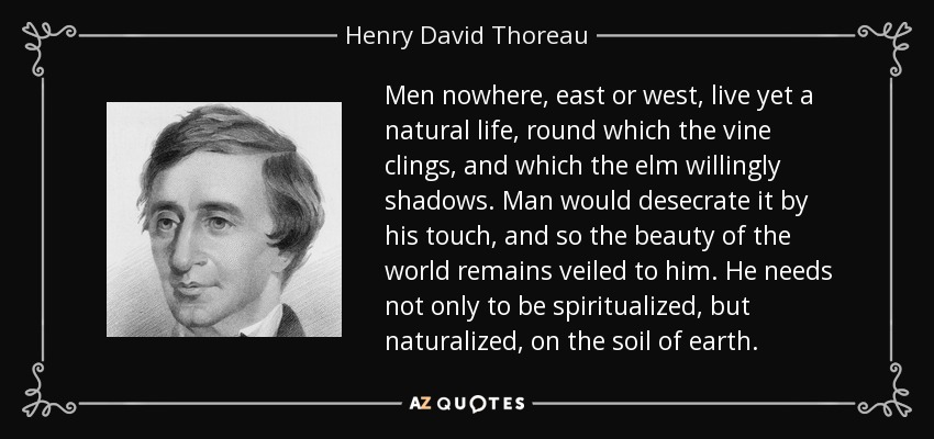 Men nowhere, east or west, live yet a natural life, round which the vine clings, and which the elm willingly shadows. Man would desecrate it by his touch, and so the beauty of the world remains veiled to him. He needs not only to be spiritualized, but naturalized, on the soil of earth. - Henry David Thoreau