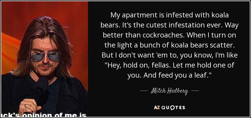 My apartment is infested with koala bears. It's the cutest infestation ever. Way better than cockroaches. When I turn on the light a bunch of koala bears scatter. But I don't want 'em to, you know, I'm like 