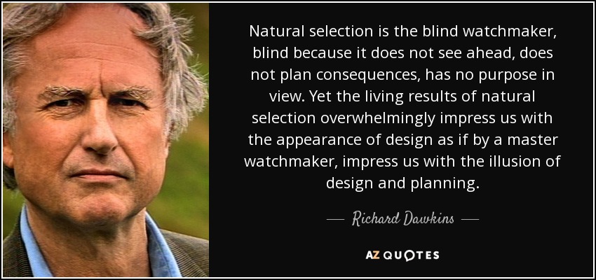 Natural selection is the blind watchmaker, blind because it does not see ahead, does not plan consequences, has no purpose in view. Yet the living results of natural selection overwhelmingly impress us with the appearance of design as if by a master watchmaker, impress us with the illusion of design and planning. - Richard Dawkins
