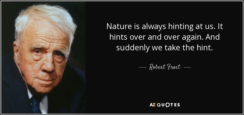 Nature is always hinting at us. It hints over and over again. And suddenly we take the hint. - Robert Frost