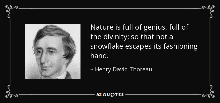 Nature is full of genius, full of the divinity; so that not a snowflake escapes its fashioning hand. - Henry David Thoreau