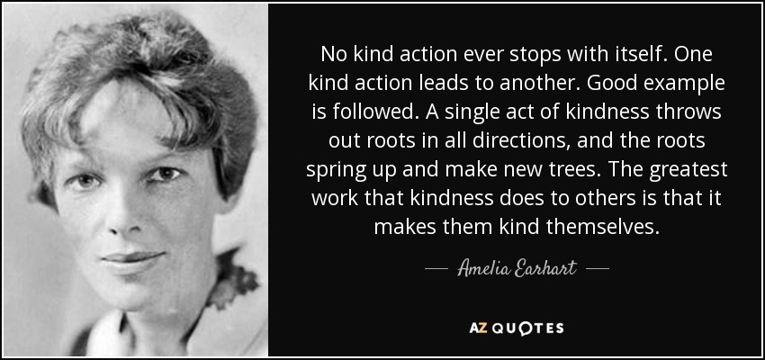 No kind action ever stops with itself. One kind action leads to another. Good example is followed. A single act of kindness throws out roots in all directions, and the roots spring up and make new trees. The greatest work that kindness does to others is that it makes them kind themselves. - Amelia Earhart
