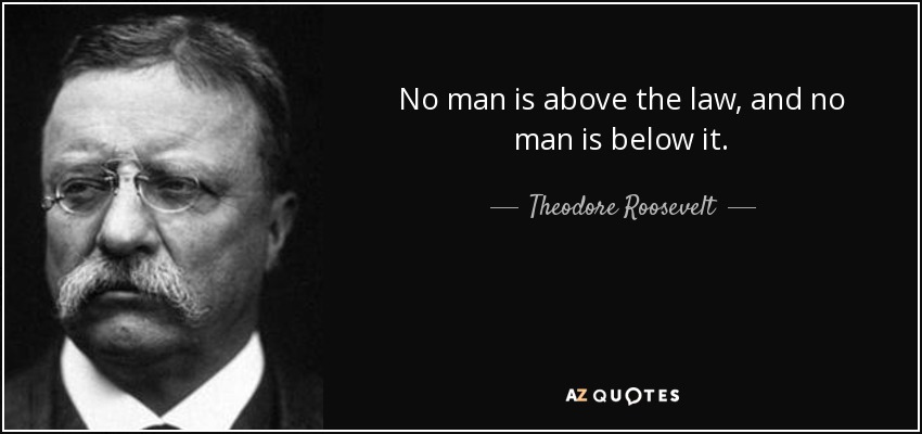 Nadie está por encima de la ley, y nadie está por debajo de ella. - Theodore Roosevelt