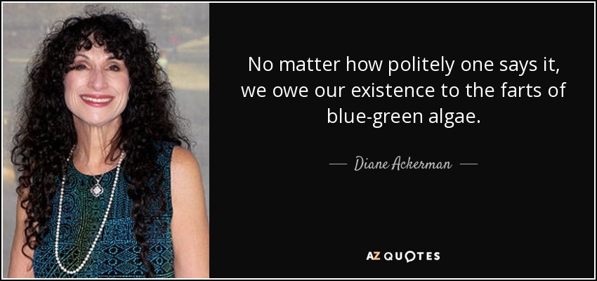 No matter how politely one says it, we owe our existence to the farts of blue-green algae. - Diane Ackerman