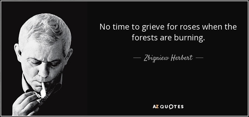 No time to grieve for roses when the forests are burning. - Zbigniew Herbert