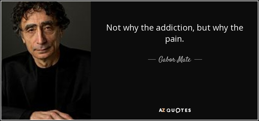 Not why the addiction, but why the pain. - Gabor Mate