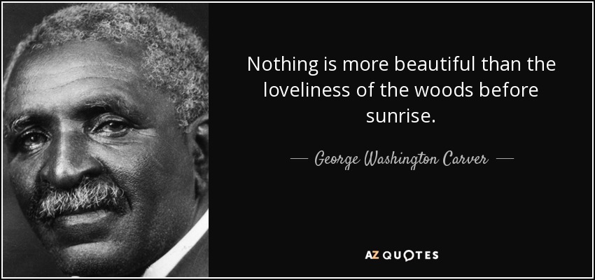 No hay nada más hermoso que la belleza de los bosques antes del amanecer. - George Washington Carver
