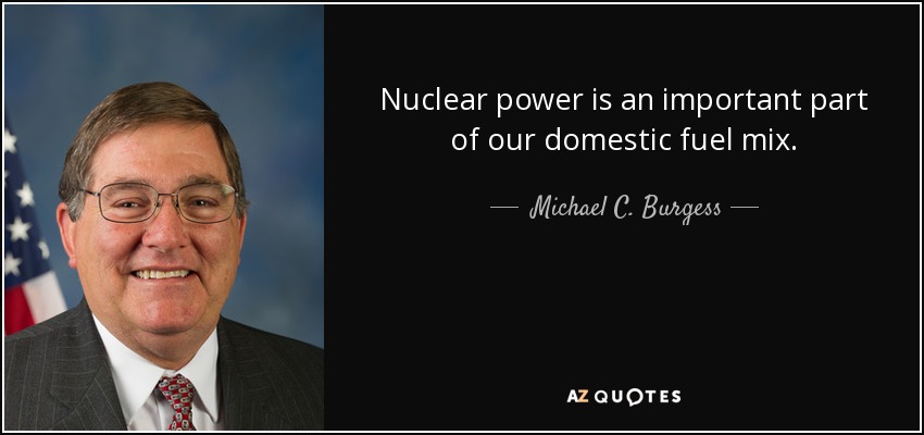 Nuclear power is an important part of our domestic fuel mix. - Michael C. Burgess