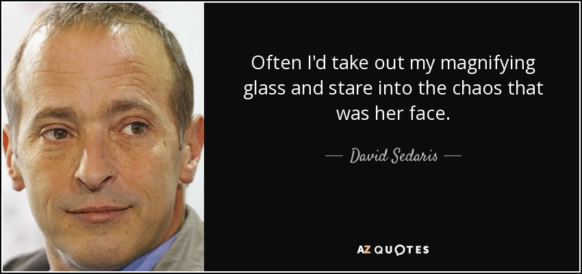 Often I'd take out my magnifying glass and stare into the chaos that was her face. - David Sedaris
