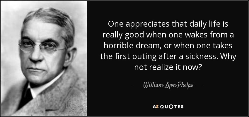 One appreciates that daily life is really good when one wakes from a horrible dream, or when one takes the first outing after a sickness. Why not realize it now? - William Lyon Phelps