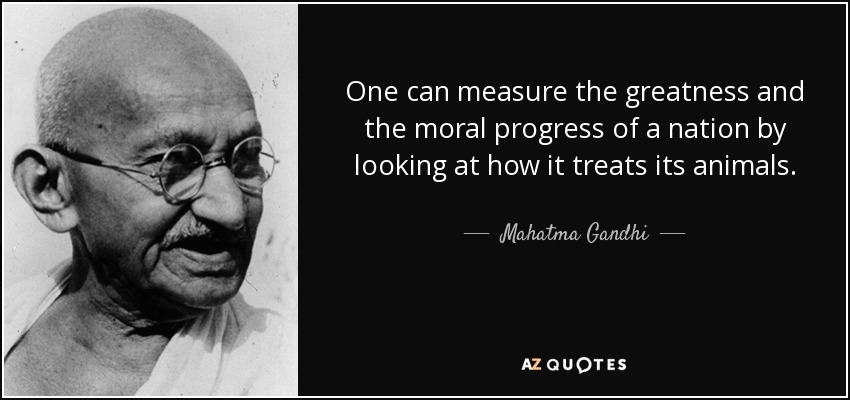 One can measure the greatness and the moral progress of a nation by looking at how it treats its animals. - Mahatma Gandhi