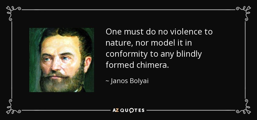 One must do no violence to nature, nor model it in conformity to any blindly formed chimera. - Janos Bolyai