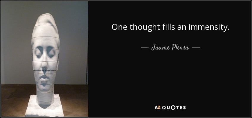 One thought fills an immensity. - Jaume Plensa