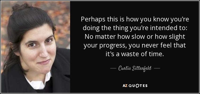 Perhaps this is how you know you're doing the thing you're intended to: No matter how slow or how slight your progress, you never feel that it's a waste of time. - Curtis Sittenfeld
