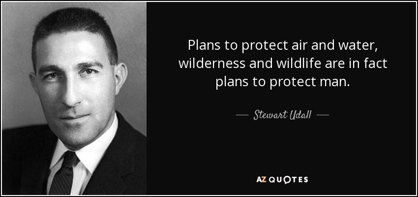 Plans to protect air and water, wilderness and wildlife are in fact plans to protect man. - Stewart Udall