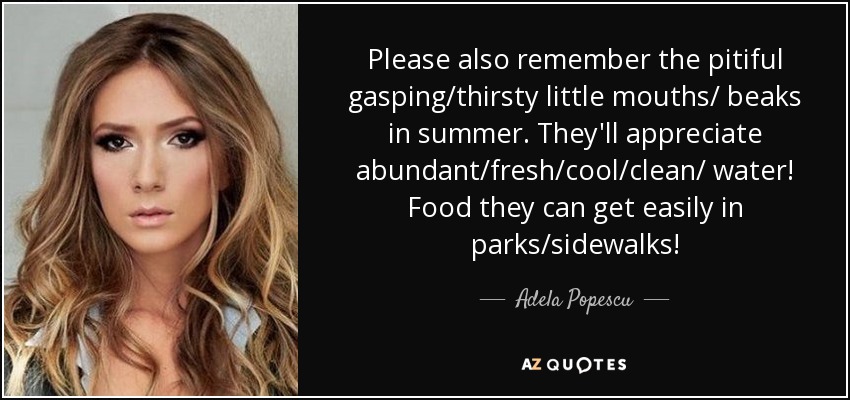 Please also remember the pitiful gasping/thirsty little mouths/ beaks in summer. They'll appreciate abundant/fresh/cool/clean/ water! Food they can get easily in parks/sidewalks! - Adela Popescu