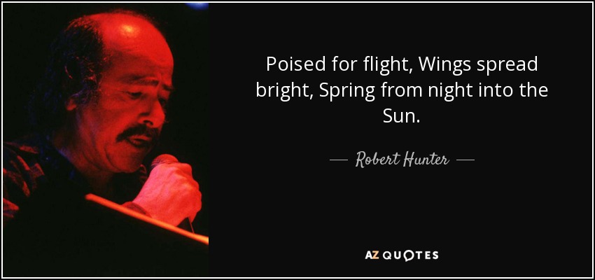 Poised for flight, Wings spread bright, Spring from night into the Sun. - Robert Hunter