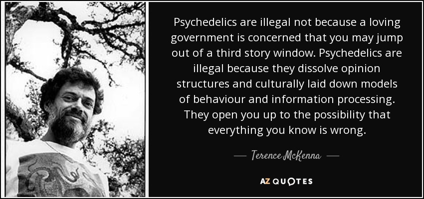 Psychedelics are illegal not because a loving government is concerned that you may jump out of a third story window. Psychedelics are illegal because they dissolve opinion structures and culturally laid down models of behaviour and information processing. They open you up to the possibility that everything you know is wrong. - Terence McKenna