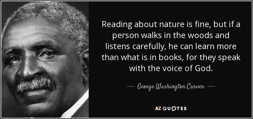 Leer sobre la naturaleza está bien, pero si una persona camina por el bosque y escucha con atención, puede aprender más de lo que hay en los libros, porque hablan con la voz de Dios. - George Washington Carver