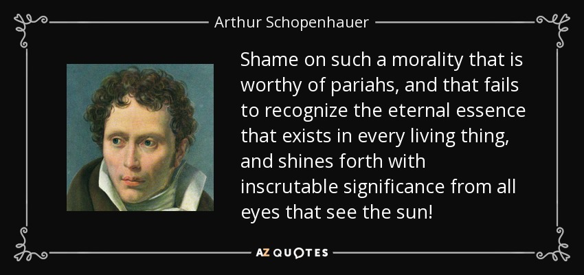 Shame on such a morality that is worthy of pariahs, and that fails to recognize the eternal essence that exists in every living thing, and shines forth with inscrutable significance from all eyes that see the sun! - Arthur Schopenhauer