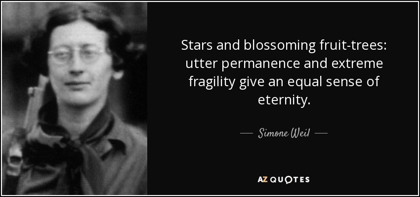 Stars and blossoming fruit-trees: utter permanence and extreme fragility give an equal sense of eternity. - Simone Weil