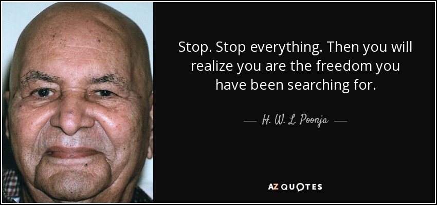 Stop. Stop everything. Then you will realize you are the freedom you have been searching for. - H. W. L. Poonja