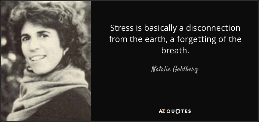 Stress is basically a disconnection from the earth, a forgetting of the breath. - Natalie Goldberg