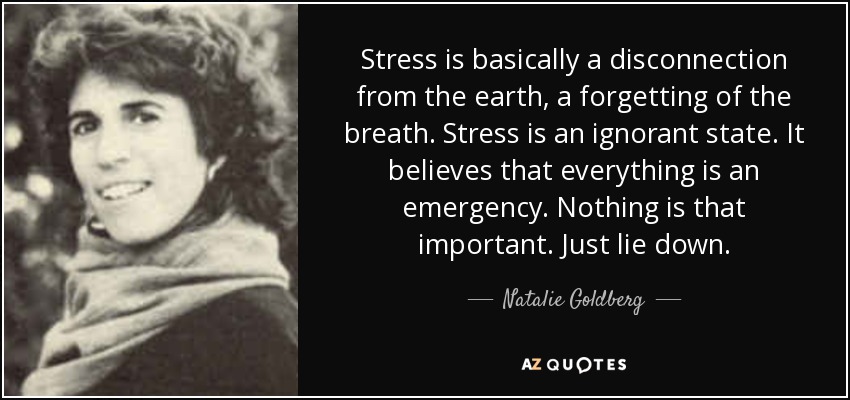 Stress is basically a disconnection from the earth, a forgetting of the breath. Stress is an ignorant state. It believes that everything is an emergency. Nothing is that important. Just lie down. - Natalie Goldberg