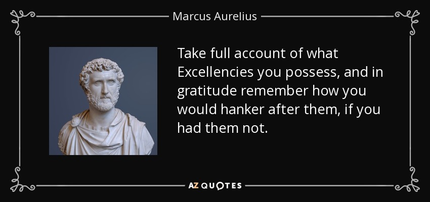 Take full account of what Excellencies you possess, and in gratitude remember how you would hanker after them, if you had them not. - Marcus Aurelius