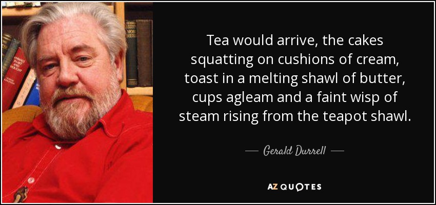 Tea would arrive, the cakes squatting on cushions of cream, toast in a melting shawl of butter, cups agleam and a faint wisp of steam rising from the teapot shawl. - Gerald Durrell