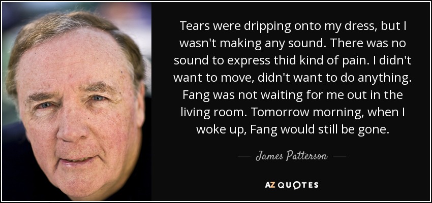 Tears were dripping onto my dress, but I wasn't making any sound. There was no sound to express thid kind of pain. I didn't want to move, didn't want to do anything. Fang was not waiting for me out in the living room. Tomorrow morning, when I woke up, Fang would still be gone. - James Patterson