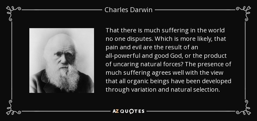 That there is much suffering in the world no one disputes. Which is more likely, that pain and evil are the result of an all-powerful and good God, or the product of uncaring natural forces? The presence of much suffering agrees well with the view that all organic beings have been developed through variation and natural selection. - Charles Darwin