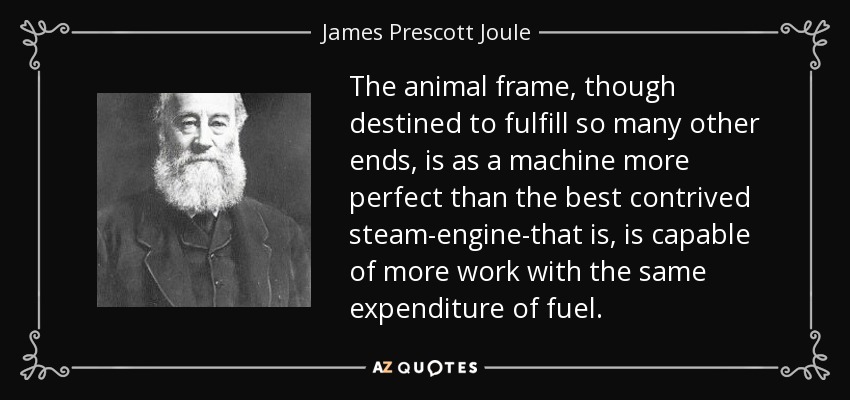 The animal frame, though destined to fulfill so many other ends, is as a machine more perfect than the best contrived steam-engine-that is, is capable of more work with the same expenditure of fuel. - James Prescott Joule
