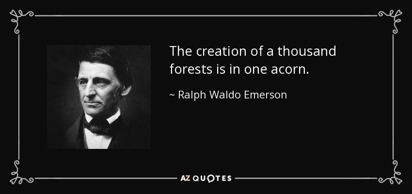 La creación de mil bosques está en una bellota. - Ralph Waldo Emerson