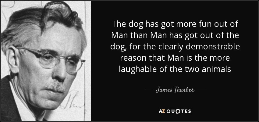 The dog has got more fun out of Man than Man has got out of the dog, for the clearly demonstrable reason that Man is the more laughable of the two animals - James Thurber