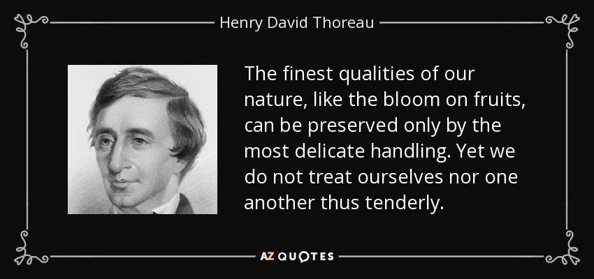 The finest qualities of our nature, like the bloom on fruits, can be preserved only by the most delicate handling. Yet we do not treat ourselves nor one another thus tenderly. - Henry David Thoreau